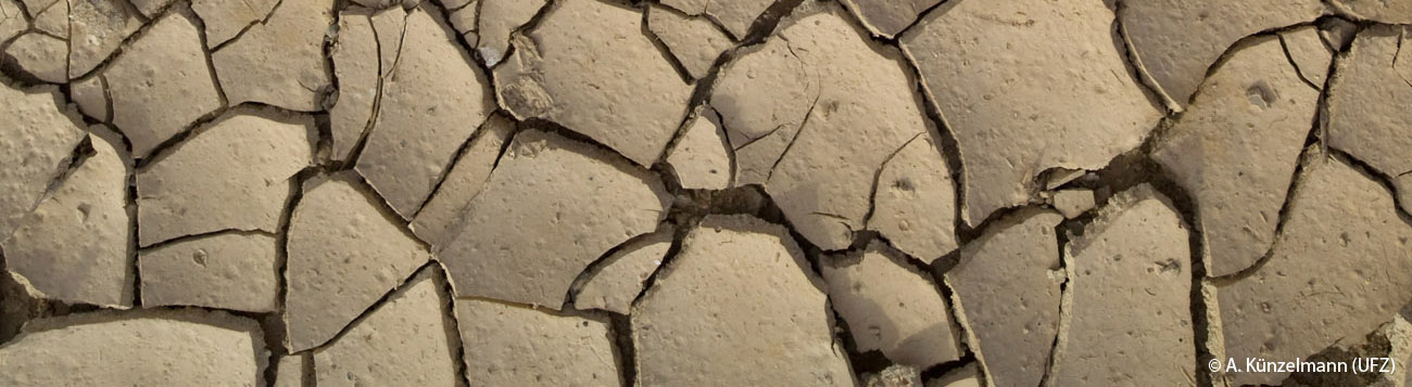 Dry soil Dry soil