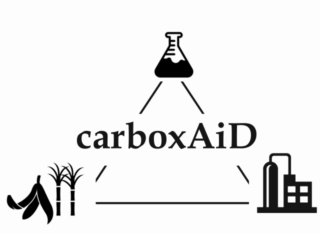 carboxAiD_logo
