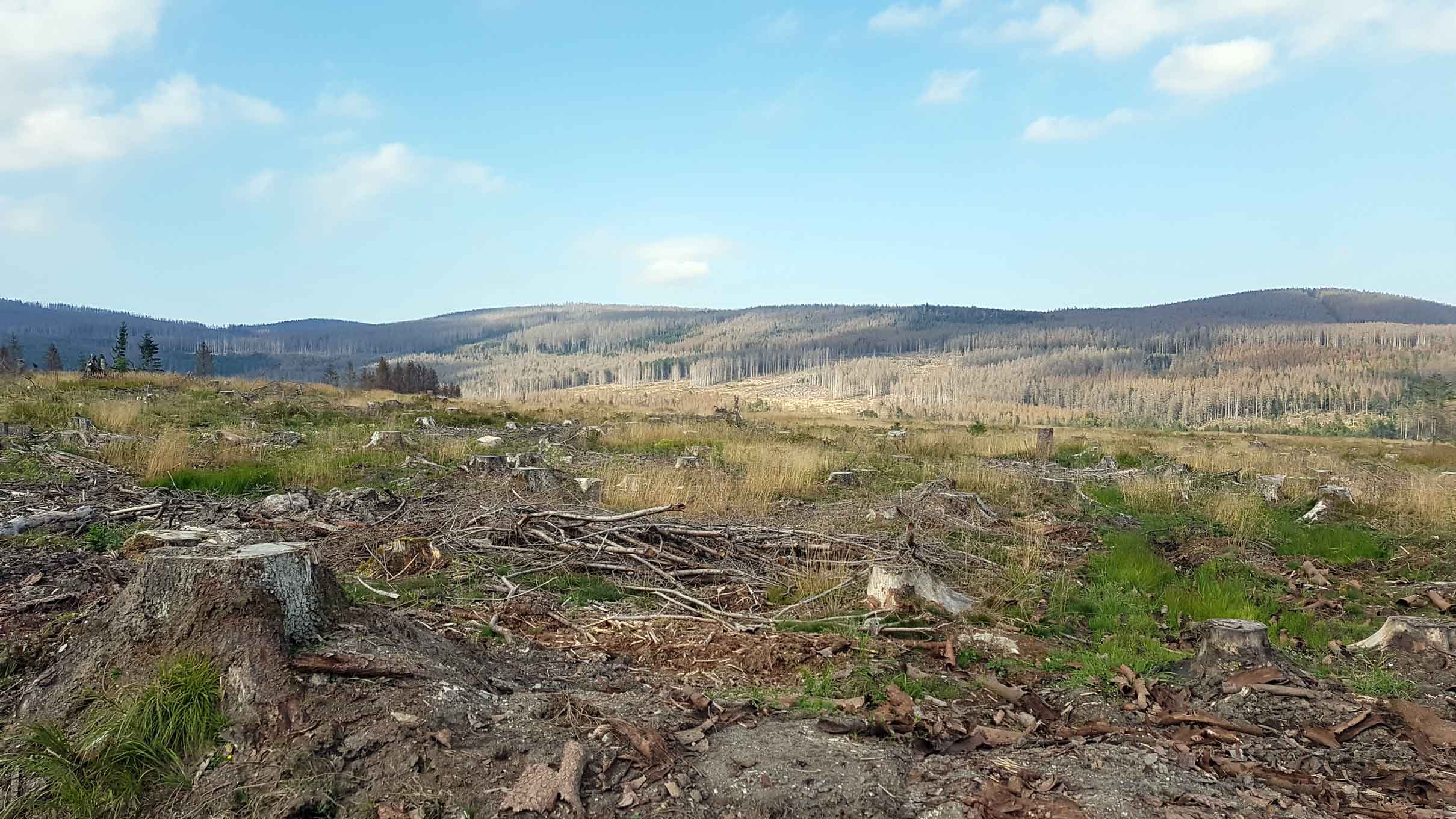 Harz Harz