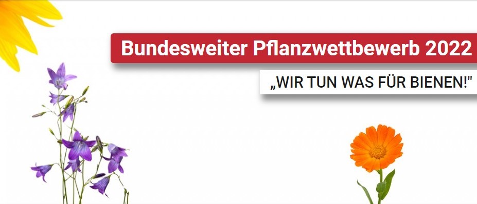 blumen blumen