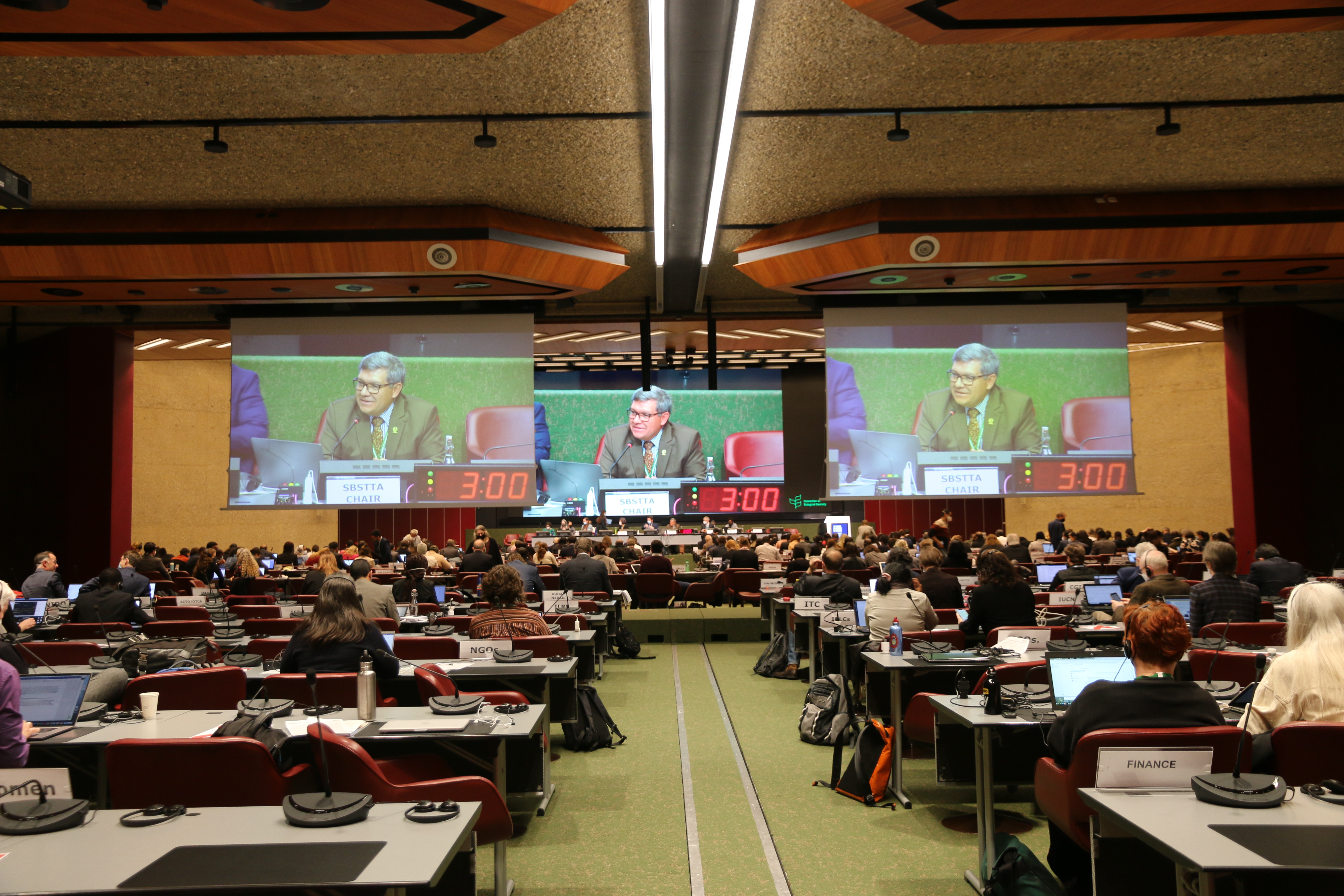 Plenary session