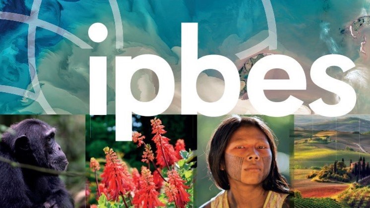 IPBES-Logo und Symbolabbildungen