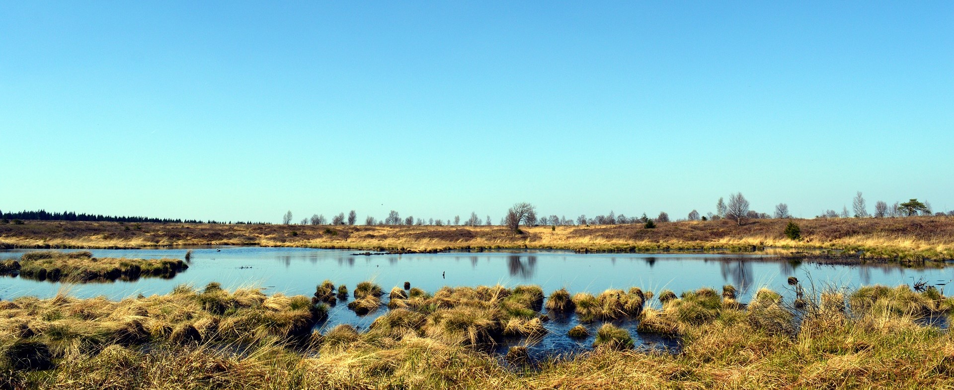 Moorlandschaft Moorlandschaft