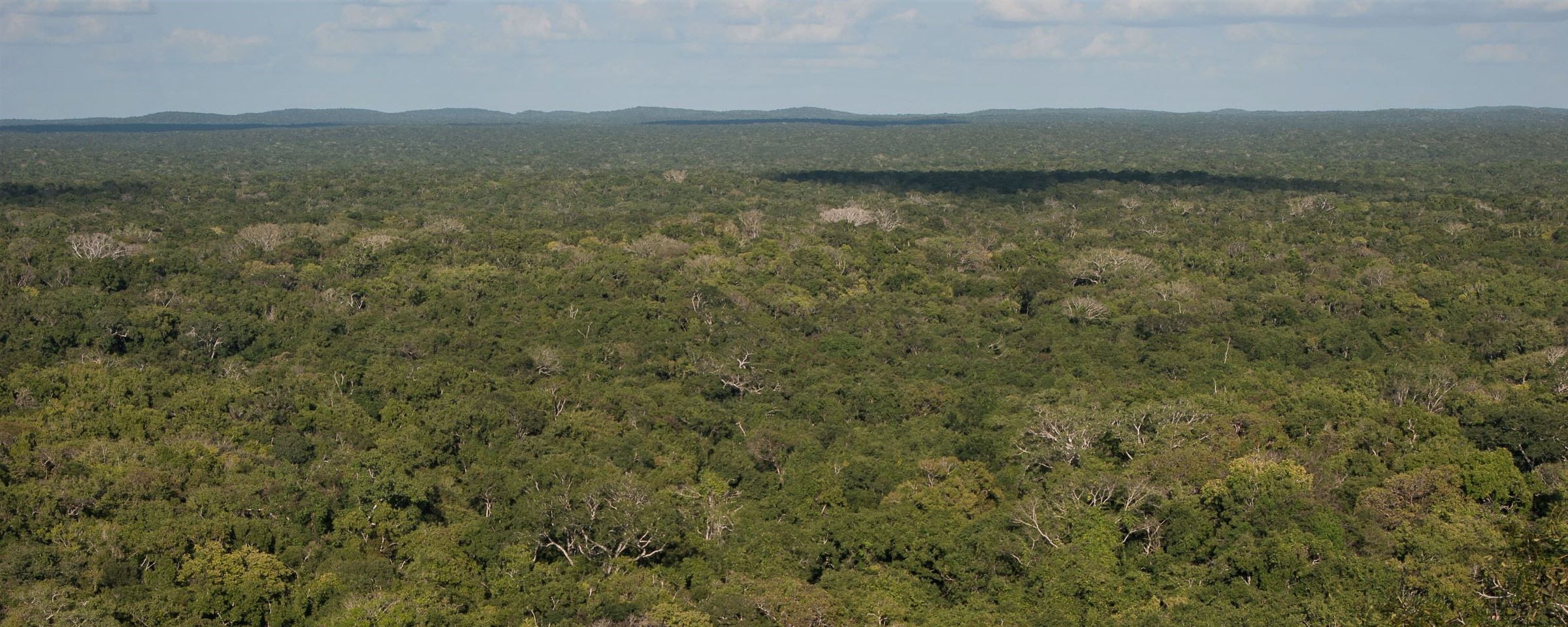 Ein 1,5°-Ziel für die Biodiversität – das klingt nach einer charmanten Idee. Bild: C. Hof
Gastbeitrag: Vom Klimaschutz lernen? Die Biodiversitätskrise im Kontext von Kipppunkten, Komplexität & Kommunikation