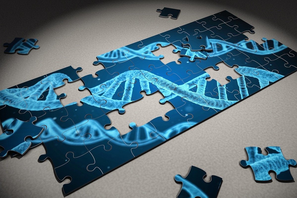 Symbolbild: Puzzle mit DNA