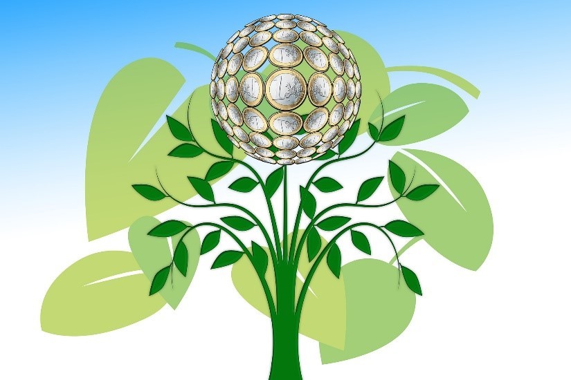 Symbolbild: Globus aus Münzen von Pflanze getragen