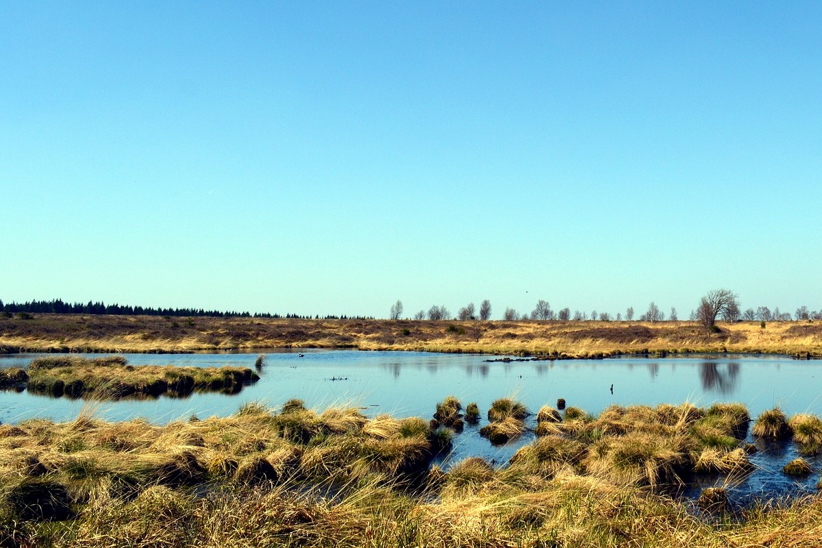 Moorlandschaft Moorlandschaft