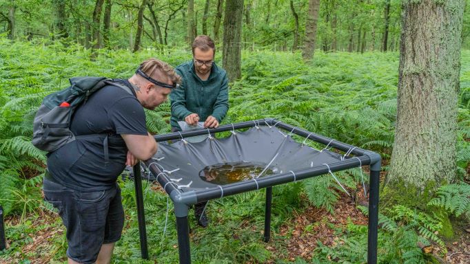 Forscher im Wald Forscher im Wald