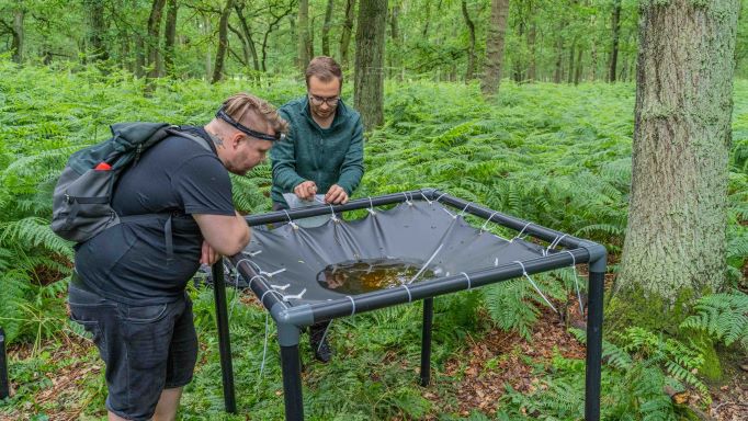 Forscher im Wald