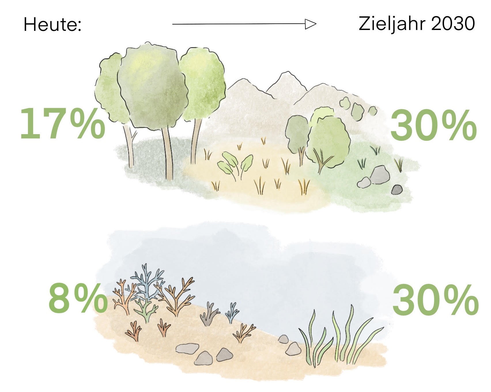 Zeichnung mit Bäumen, Sträuchern etc. und Prozentangaben zum Status quo und der Zielmarke von 30% Zeichnung mit Bäumen, Sträuchern etc. und Prozentangaben zum Status quo und der Zielmarke von 30%