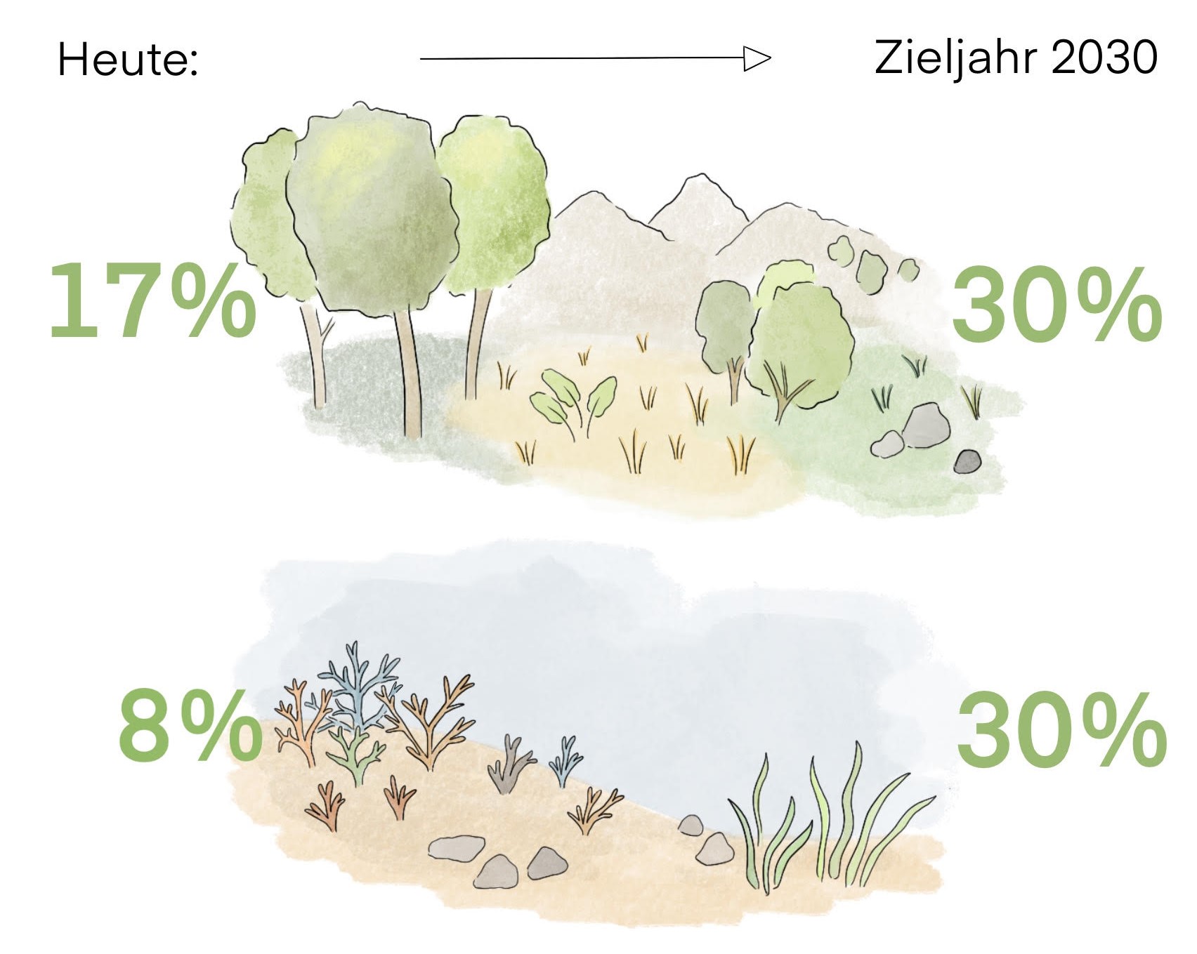 Zeichnung mit Bäumen, Sträuchern etc. und Prozentangaben zum Status quo und der Zielmarke von 30%