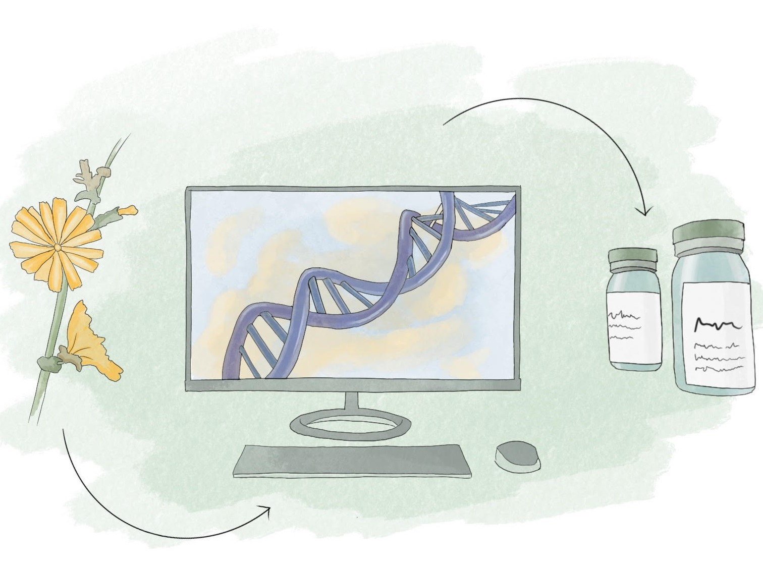 Zeichnung mit Pflanze, DNA-Helix und Medizinflasche Zeichnung mit Pflanze, DNA-Helix und Medizinflasche