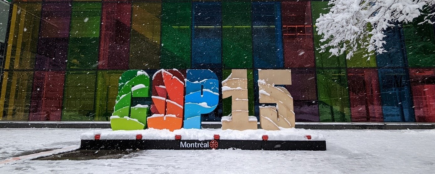 Nach zähen Verhandlungen tatsächlich eine Einigung, wenn auch mit abgeschwächten Zielen. Bild: J. Taffner
Gastbeitrag: Montreals „Paris-Moment light“ - Hausaufgaben für Politik und Wissenschaft