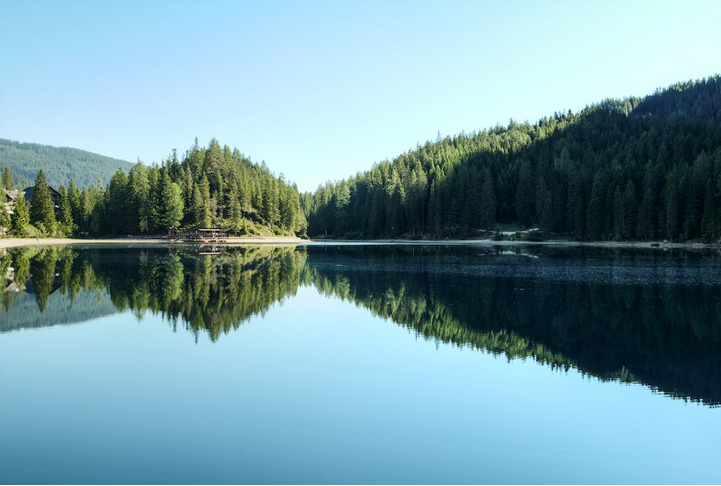 Wald am Wasser