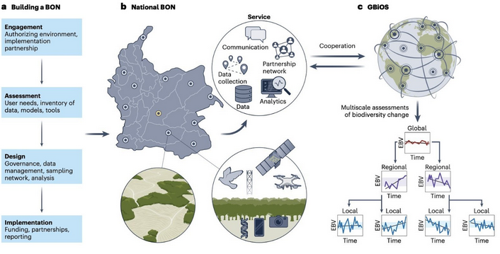 Grafik der Beobachtung der Biodiversitäts-Vielfalt