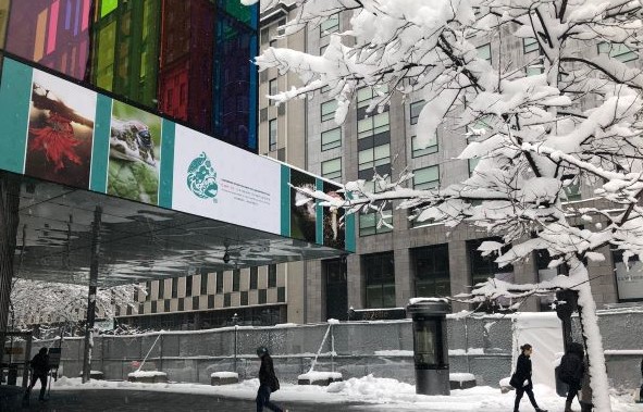 Verhandlungsgebäude während der CBD-COP-15 im Schnee Verhandlungsgebäude während der CBD-COP-15 im Schnee