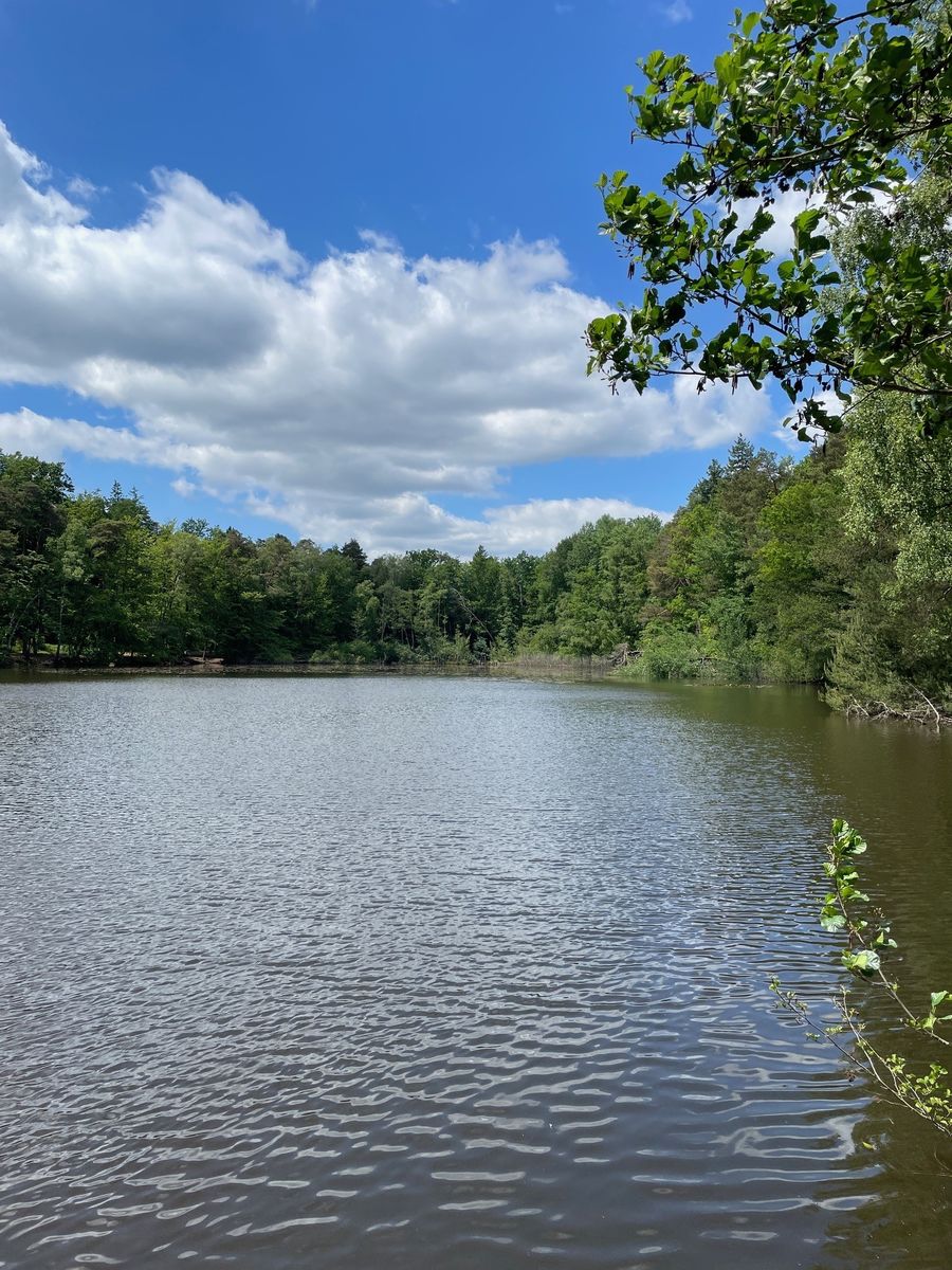 Ein See in einem Wald Ein See in einem Wald