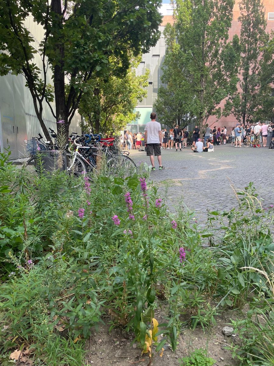Ein Beet mit Blumen im Vordergrund, dahinter ein Platz in der Stadt mit Menschen an einem Haus und ein paar Bäumen