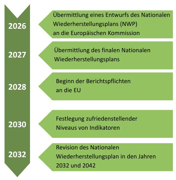 Grafik zum Ablauf für die Umsetzung der W-VO Grafik zum Ablauf für die Umsetzung der W-VO