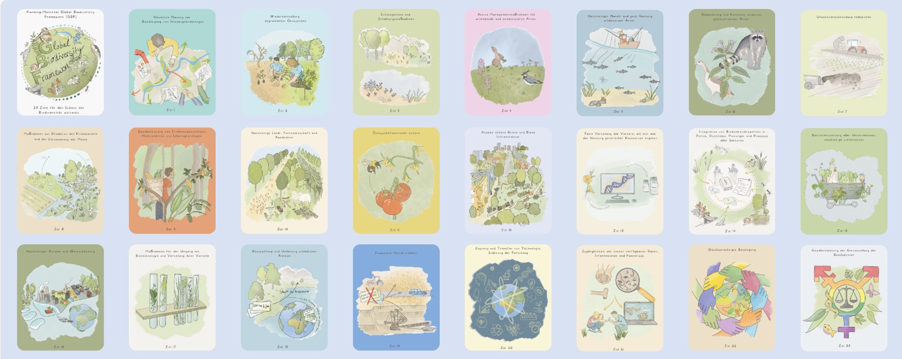 Illustration der 23 Ziele des Global Biodiversity Framework Illustration der 23 Ziele des Global Biodiversity Framework