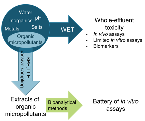 Whole Effluent Toxicity Methods