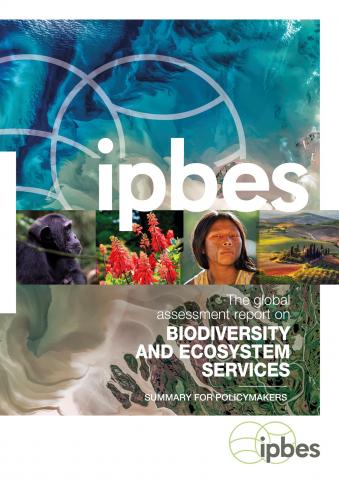 IPBES