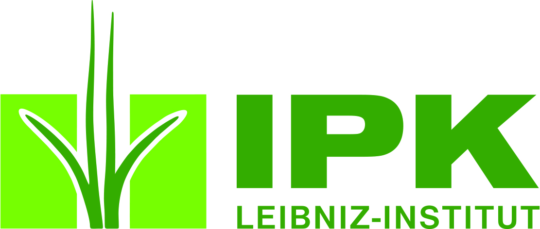 Logo IPK