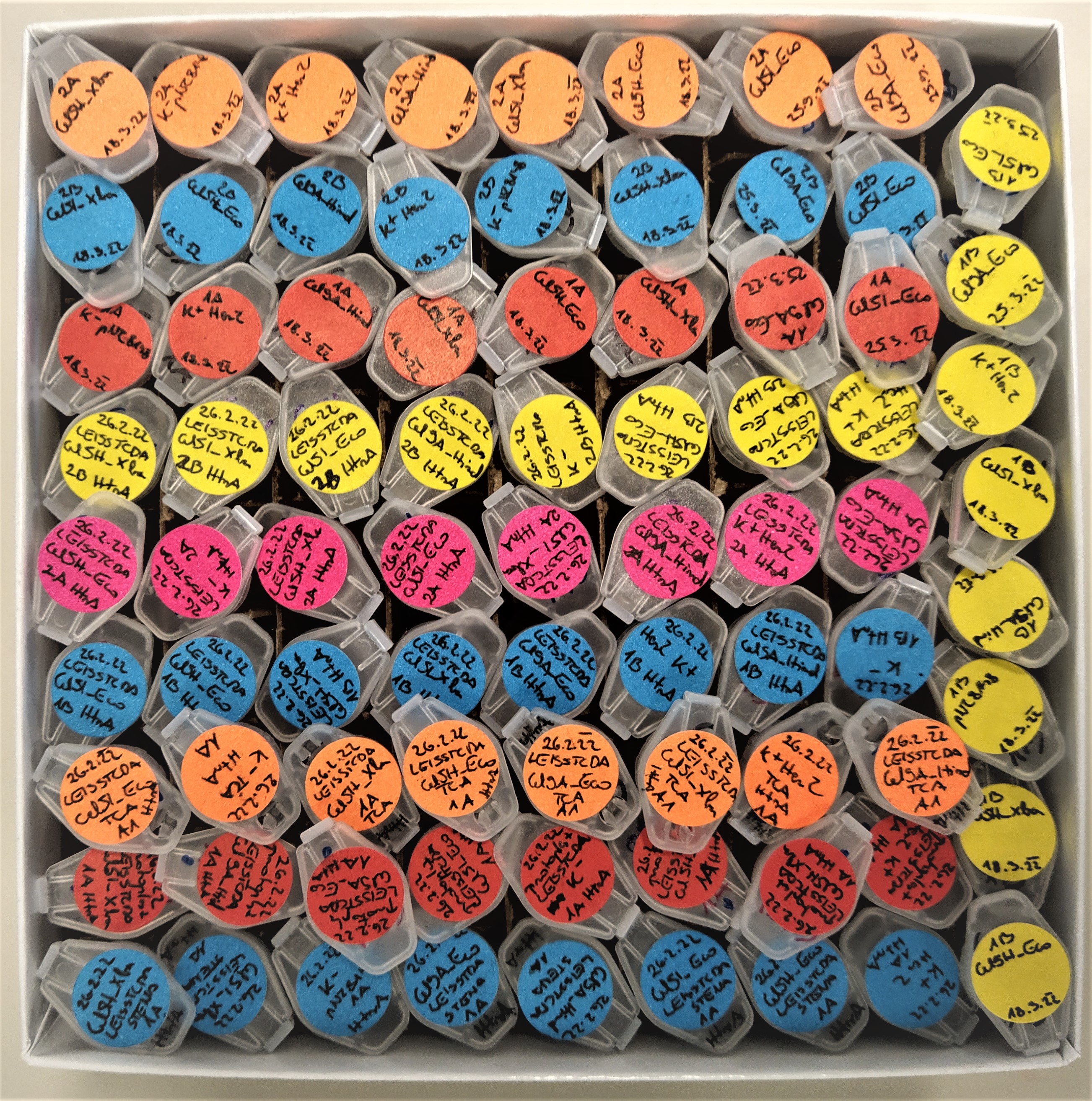 Eppendorf Tubes Eppendorf Tubes