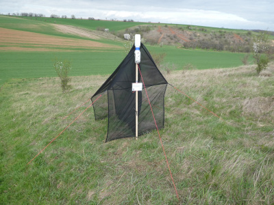 Malaise trap