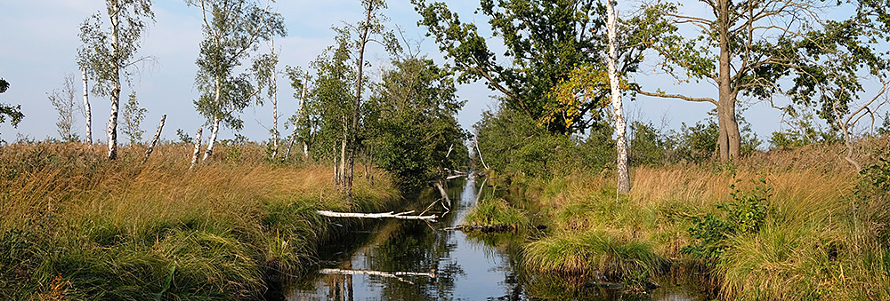 Wasserlauf am Anklamer Stadtbruch (Julian Massenberg, UFZ)