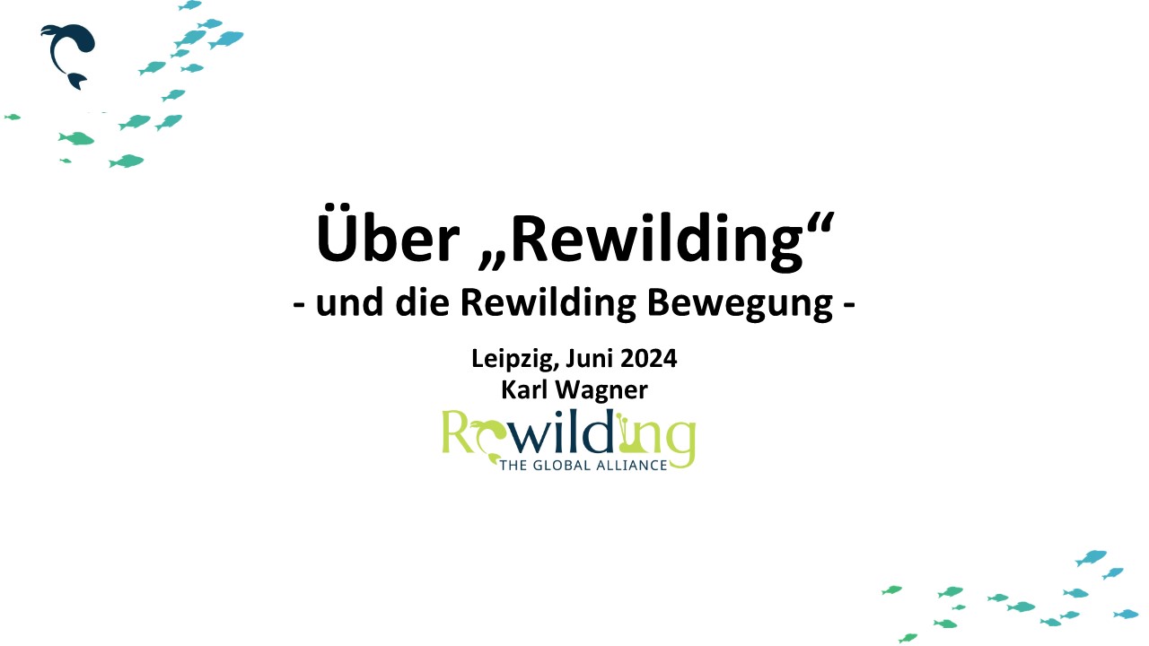 karl wagner presentation
