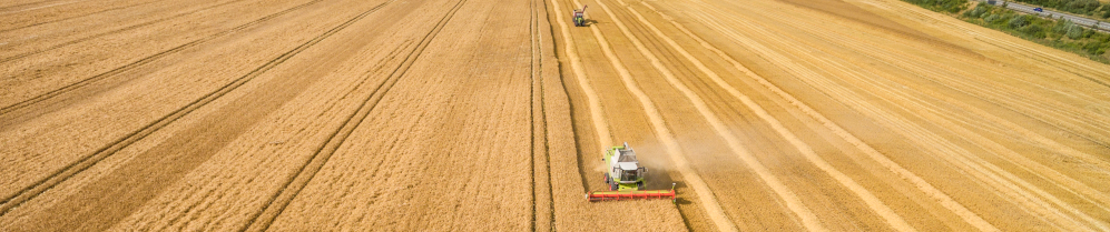 Combine harvester in a cereal field (© André Künzelmann/UFZ)