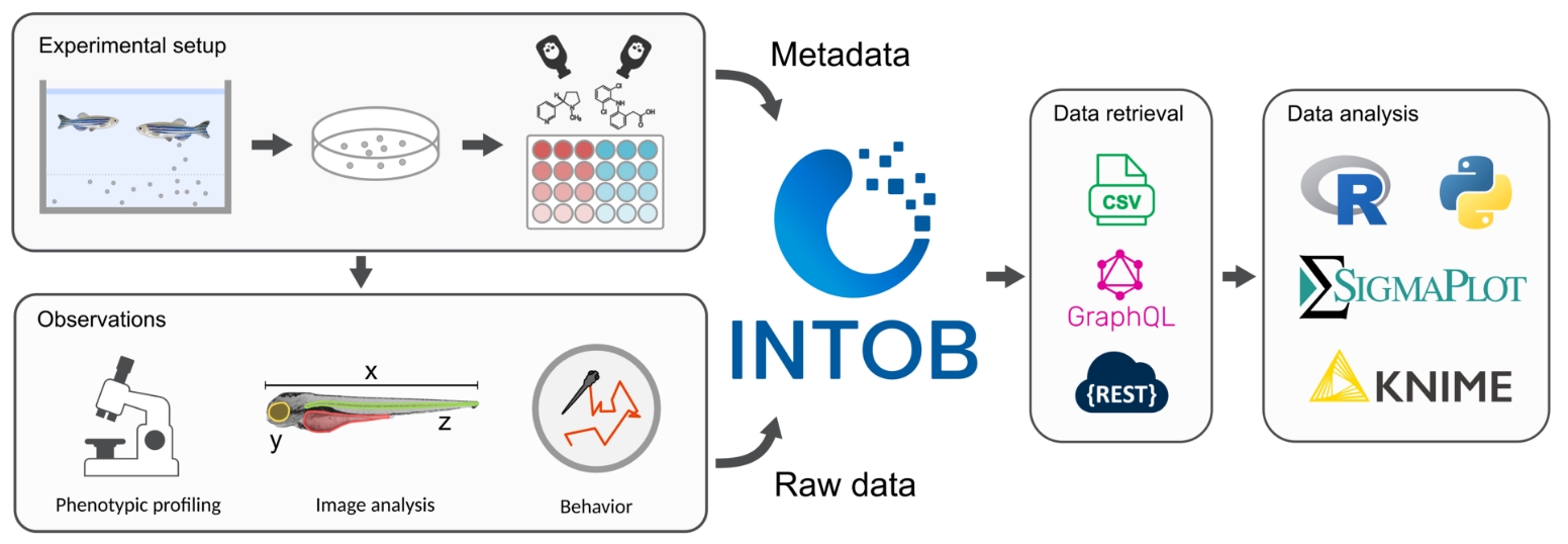 Schematische Darstellung des INTOB Workflows