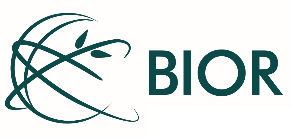 BIOR logo BIOR logo