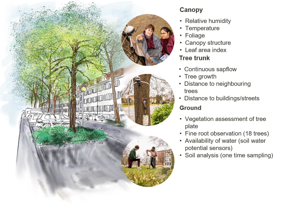 UrbanWaterBlocks tool for generating UBGI potemtial maps from block to city scale