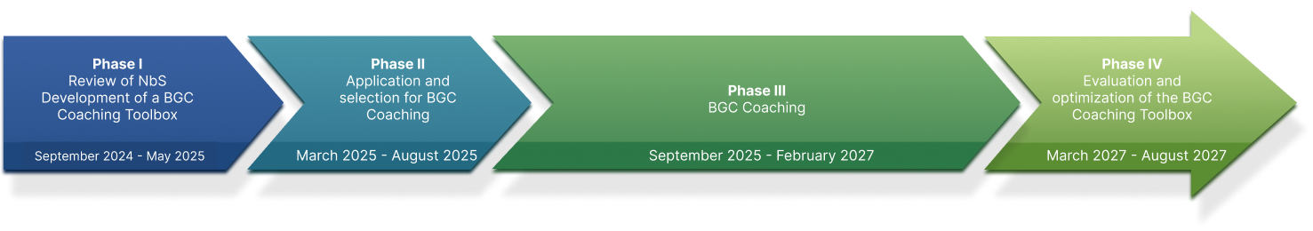 Timeline with graphical representation of the project phases