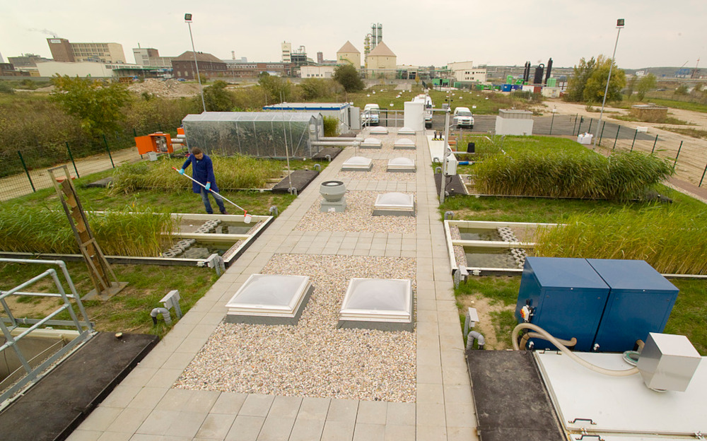 Photo: Andr&eacute; K&uuml;nzelmann/UFZ