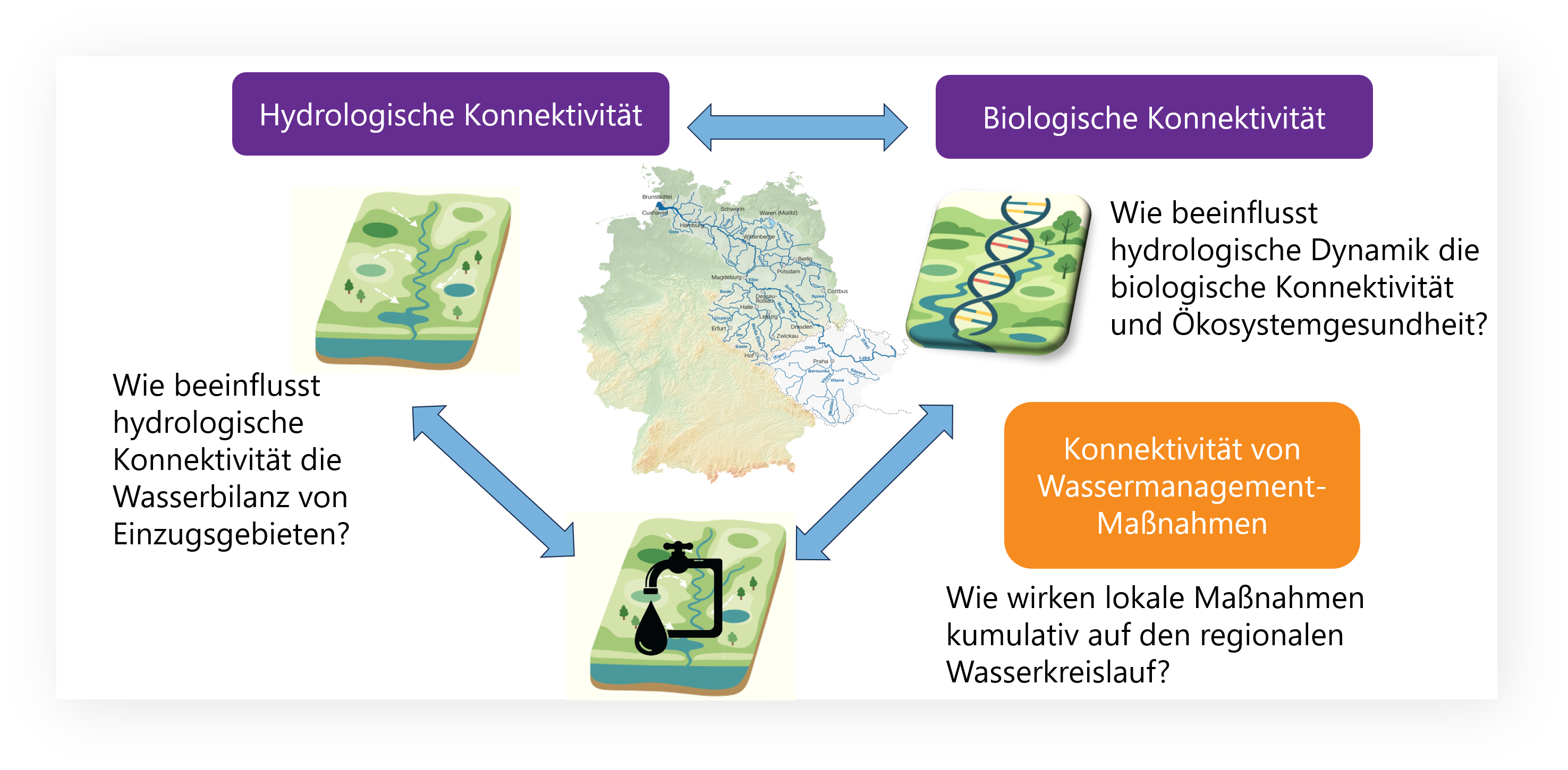 Wissenschaftlicher_Ansatz