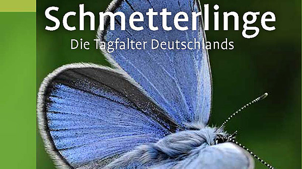 Buchcover: Schmetterlinge - Die Tagfalter Deutschlands. Ulmer Naturführer.
