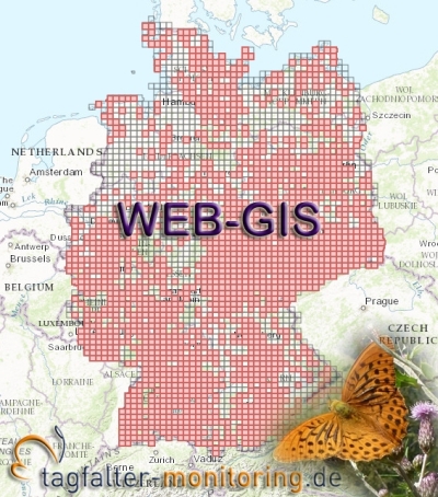 WebGIS