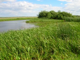 Lake close to Karasuk