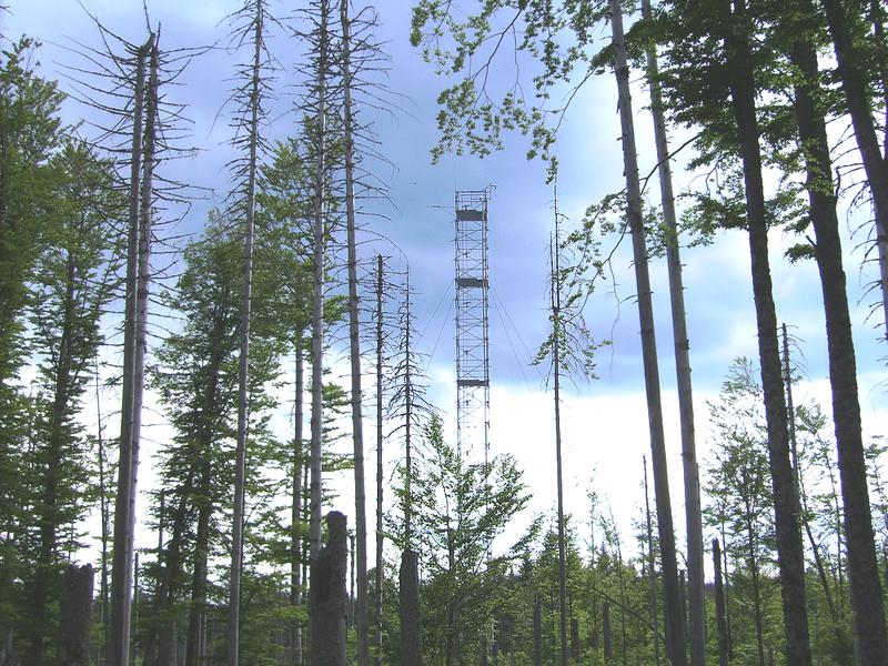 Measuring tower for gas deposition (NP Bayerischer Wald)