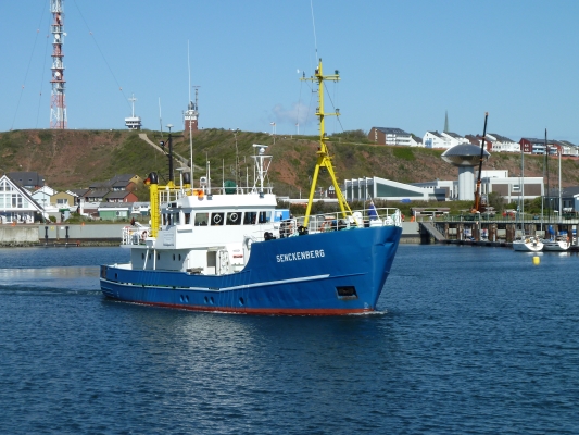 Forschungskutter „Senckenberg“ auf Helgoland; (Hermann Neumann; SaM)