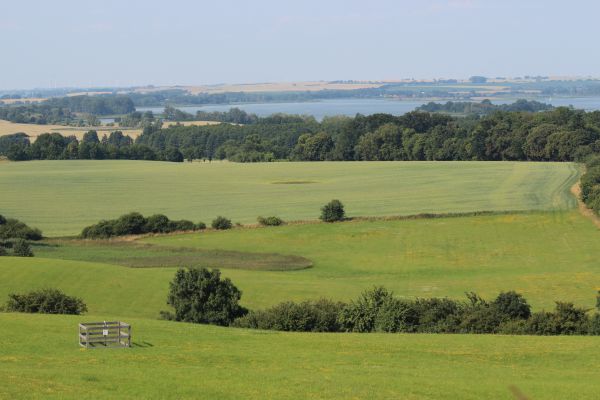 Exploratorium Schorfheide-Chorin, dass hier ein Experimentierplot der Biodiversitäts-Exploratorien liegt, ist nur an dem Zaun um die Messtechnik erkennbar. Foto: Ilka Mai