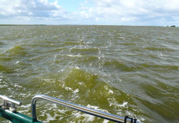 Jahrzehntelange Nährstoffeinträge haben die Boddengewässer eutrophiert. Die durch das Phytoplankton verursachte Wassertrübung behindert die Submersvegetation. Foto: Rhena Schumann