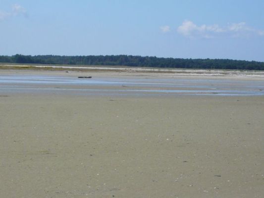 Blick vom Windwatt Bock auf den äußersten Rand des Ostzingst (Pramort). In der Kernzone des Nationalparks wird auch geforscht: Ornithologie, Hydrologie (Überflutungsereignisse), Mikrobiologie und Groundtruthing für Fernerkundungen. Foto: Rhena Schumann