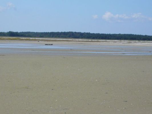 Blick vom Windwatt Bock auf den äußersten Rand des Ostzingst (Pramort). In der Kernzone des Nationalparks wird auch geforscht: Ornithologie, Hydrologie (Überflutungsereignisse), Mikrobiologie und Groundtruthing für Fernerkundungen. Foto: Rhena Schumann