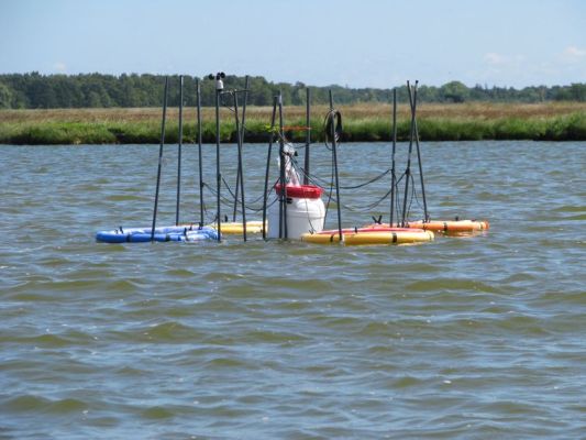 In der Darß-Zingster Boddenkette werden regelmäßig sogenannte Mesokosmosexperimente durchgeführt. Hier ging es um den Einfluss der submersen Makrophyten auf die Nährstoffverfügbarkeit für das Phytoplankton. Foto: Arne Schoor