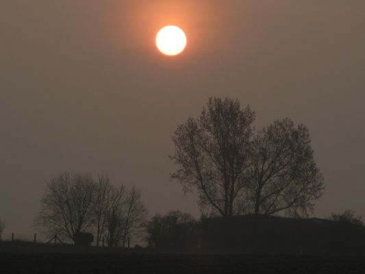 Foto: UFZ/ Mark Frenzel