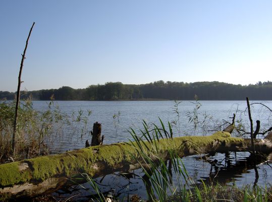 Schweingartensee (Foto: NP Müritz / Dahlmann)